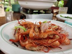 -小小饭店·休闲农庄·安吉松树林里的农家菜