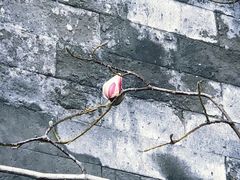 -东华门大街小区