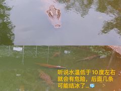 -广东茂名森林公园