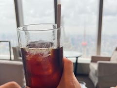 -The lounge 柏悦酒店大堂酒廊(上海环球金融中心店)