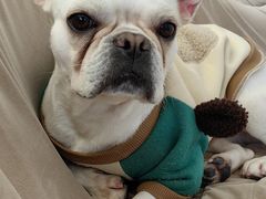 -怪兽屋·羊驼·猫咖·狗咖(俊华广场店)