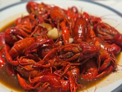 -杨氏青龙虾·羊蝎子(珠江路店)