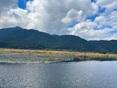 -腾冲北海湿地