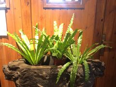 -慢丽江·云南野生菌土鸡锅(付家庄店)