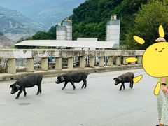 -硗碛藏寨·神木垒景区