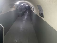 -枫泾古镇-人民公社旧址