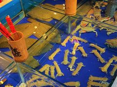 -渔家大院·地道威海菜(石岛店)