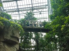 -南山植物园