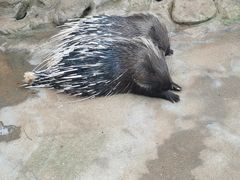 -海南热带野生动植物园