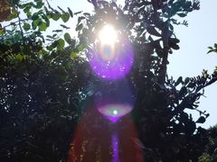 -峨眉山报国寺