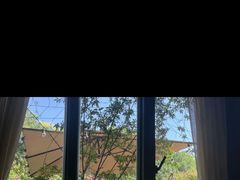 -一棵树·意大利西餐厅One Tree(新城店)
