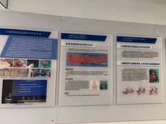 -上海市东方医院(总院)