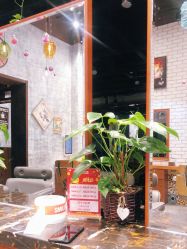 -T.1 hair salon烫染接发