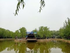 -杨柳青庄园