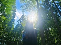 -黄海国家森林公园