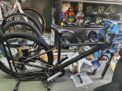 -道路口单车爱瓦士dahon大行