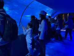 -太平洋海底世界