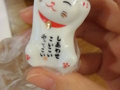 -猫咪博物馆(顶澳仔猫街店)