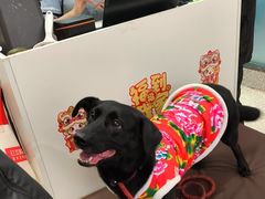 -宠物家(角门东店)