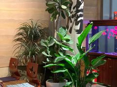 -火塘云南烧烤大排档