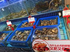 水产区-必点海鲜·鲅鱼水饺(鞍山西道店)