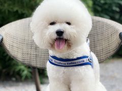 -北化机爱工场文化科技融合产业园
