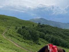 -灵山