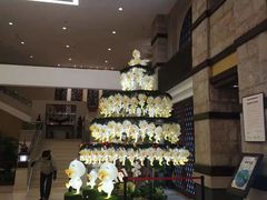 -厦门日月谷温泉渡假村