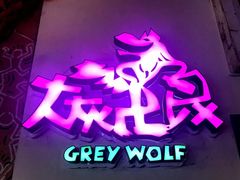 -大灰狼(中心书城店)