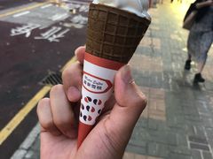 -富豪雪糕车流动点(尖沙咀店)