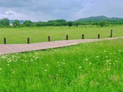 -塞罕坝国家级自然保护区