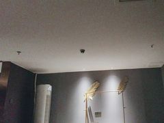 -君道天沐养生会所