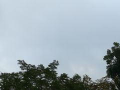 -红色娘子军纪念园