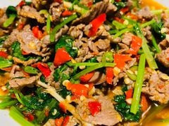 香菜炒牛肉-壹盏灯(蚂蚁工房店)