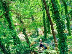 -泰山风景名胜区