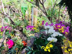 -南通洲际绿博园