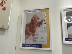 -美迦爱-动物医院·骨科·牙科·夜诊(朝阳路诊疗中心)