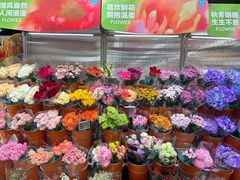 -盒马鲜生(联投广场店)