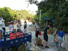 -从化深英荔枝黄皮龙眼采摘园