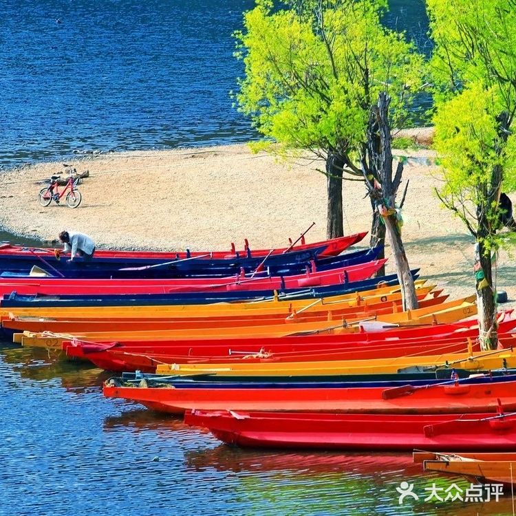 会把小白花送到离它根叶很远很远的地方