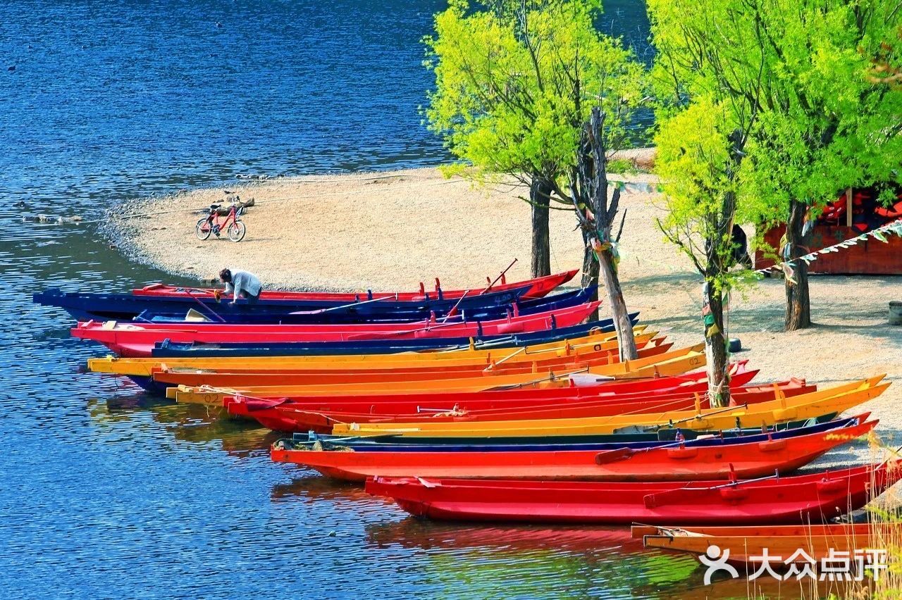 会把小白花送到离它根叶很远很远的地方