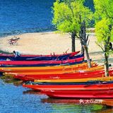 会把小白花送到离它根叶很远很远的地方