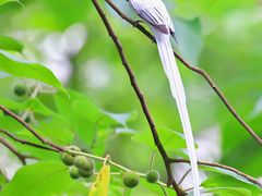 -桤木河湿地公园