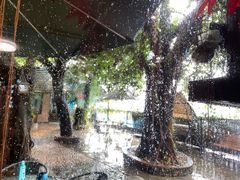 -柴犬高等学院·狗咖·柴犬售卖·宠物训练