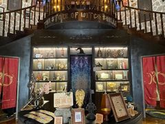 -雪灵魔法世界SHELLY’S TAROT(大良桂畔里店)