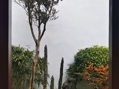 -司徒庙