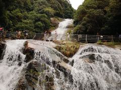 -梁野山景区