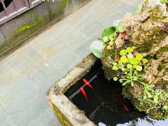 -海窝子古镇