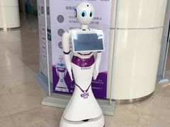 -南方医科大学深圳医院