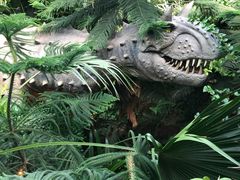 -呀路古热带植物园